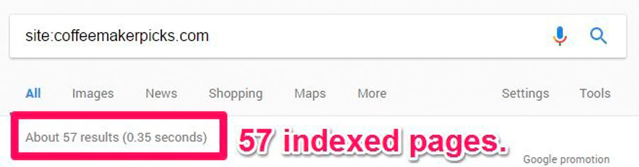numero de paginas indexadas en google