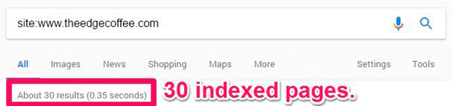 paginas indexadas en google